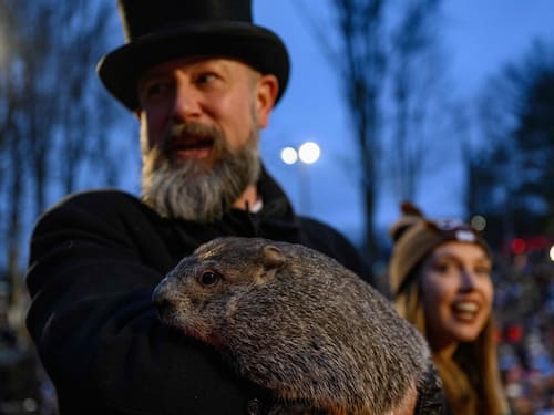 Jour de la marmotte